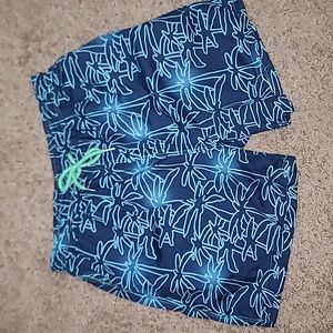 Men's Lined Swim Shorts, size L
